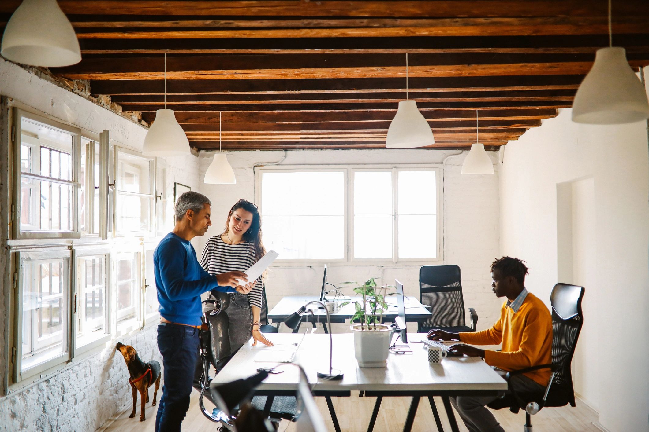Collaborative office team working in a professional studio environment